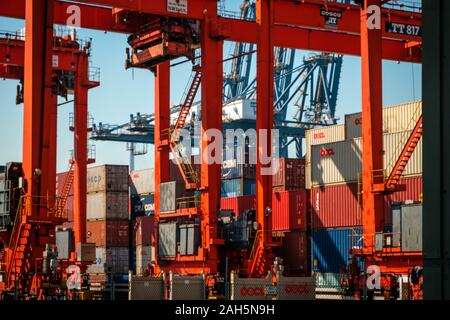 HongKong, China - November 2019: Kräne laden Shipping Container auf Fracht Hafen Logistik Zentrum in Hongkong Stockfoto