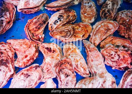 Living marine Delikatesse Oyster Restaurant gutes Essen Stockfoto