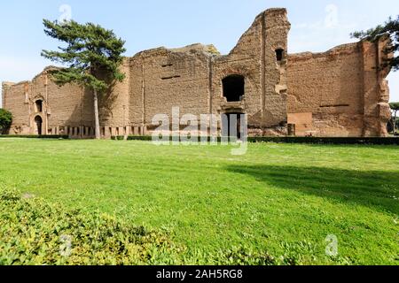 Panoramasicht auf die Terme di Caracalla in Rom. Dachkiefern in riesigen Ruinen Stockfoto