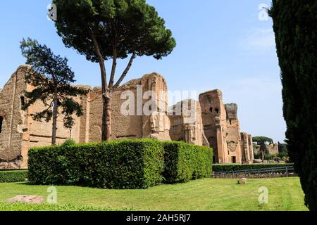 Panoramasicht auf die Terme di Caracalla in Rom. Dachkiefern in riesigen Ruinen Stockfoto