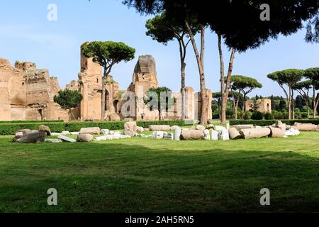 Panoramasicht auf die Terme di Caracalla in Rom. Dachkiefern in riesigen Ruinen Stockfoto