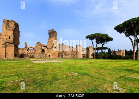 Malerischer Blick auf die Terme di Caracalla in Rom. Dachkiefern in weiten nahe Ruine Stockfoto