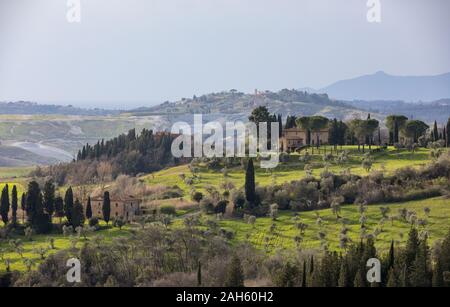 Grüne Hügel in der Toskana, Volterra Stockfoto