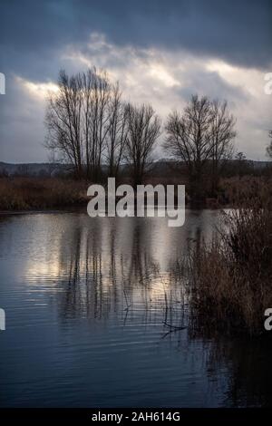 Muhr am See, Deutschland. 25 Dez, 2019. Bäume sind in den Altmühlsee wider. Credit: Lino Mirgeler/dpa/Alamy leben Nachrichten Stockfoto