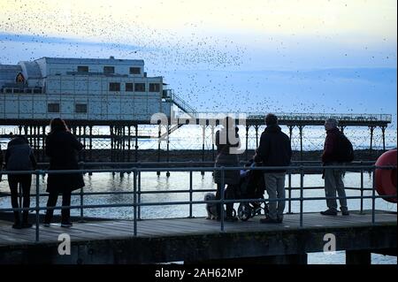 Aberystwyth, Ceredigion Wales, Vereinigtes Königreich 25. Dezember 2019: Weihnachten am Nachmittag Leute die starling murmuration Anzeige auf Aberystwyth zu beobachten Stockfoto