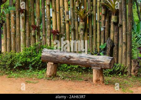 Alte hölzerne Stühle in den Gängen Stockfoto