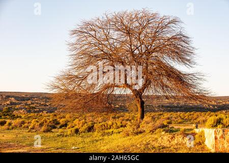 Sonnenuntergang über den Cederberg Mountains Stockfoto