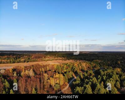 Schöne Luftaufnahme von hellen Herbst Bäume in der Landschaft von drohne getroffen Stockfoto