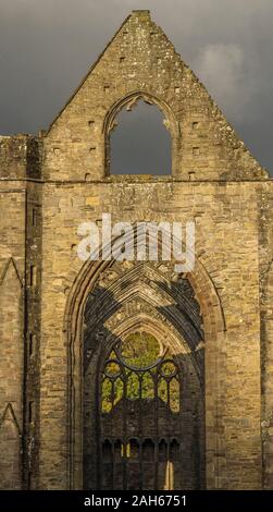 Tintern Abbey West endet mit den farbigen Hölzern im November hinter Monmouthshire in Südwales. Das Wye Valley und die Tintern Abbey in ihrem besten Rahmen. Stockfoto