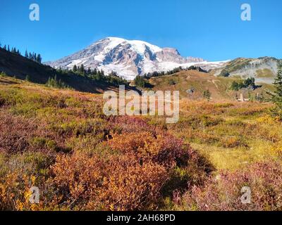 Mt. Rainier View mit Herbstfarben Stockfoto