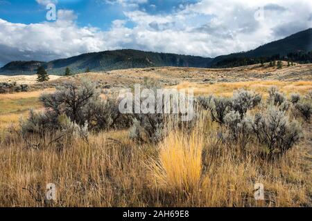 Am späten Nachmittag Sonne und Wolken Badewanne die sanften Hügel im Yellowstone NP. Stockfoto