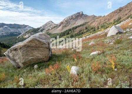 Felsbrocken in einem subalpinen Wiese, Wallowa Mountains, Oregon. Stockfoto