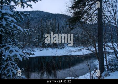 Verschneite Landschaft, Parc National de la Jacques-Cartier, Quebec, Kanada Stockfoto