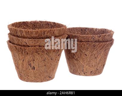 Kokos, Kokos, Blumentöpfe auf weißem Hintergrund. Umweltfreundliche Torf freie Feder Gartenarbeit. Stockfoto