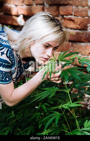 Schöne Mädchen riechen Cannabis in ihrem Dorf Stockfoto