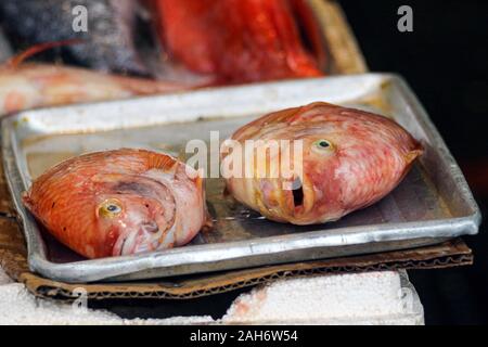 Fisch, der für den Verkauf auf einer Aluminiumschale in San Francisco Chinatown, Vereinigte Staaten von Amerika Stockfoto