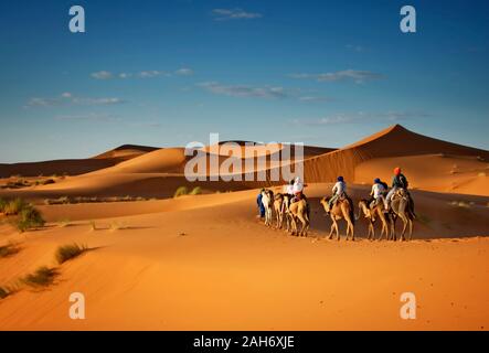 Sahara Wüste Kamele trekking Touren mit Berber Abenteuer dromadaires Reiten und Berber Führung Ausflug in Merzouga Dubai, Oman, Bahrain Marokko o Stockfoto