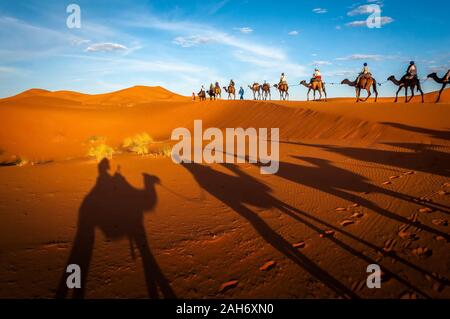 Sahara Wüste Kamele trekking Touren mit Berber Abenteuer dromadaires Reiten und Berber Führung Ausflug in Merzouga Dubai, Oman, Bahrain Marokko o Stockfoto