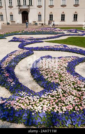 Gänseblümchen und Stiefmütterchen Blumen im Frühling, Blick auf die ornamentale Barockgarten in radziwiłł's Palace in Nieborów Exterieur in Polen, in Europa. Stockfoto