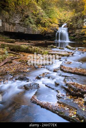 West Burton fällt, auch als Kessel fällt bekannt, mit attraktiven Herbst Laub, Wensleydale, Yorkshire Dales National Park, England, Großbritannien Stockfoto