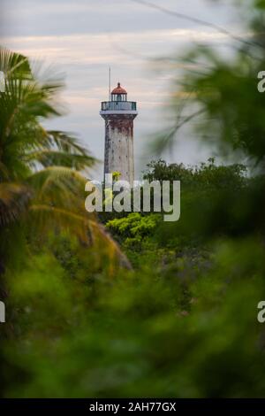 Der alte Leuchtturm von Puducherry, Süd Indien durch eine Gruppe von Bäumen gesehen Stockfoto