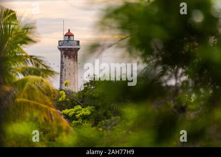 Der alte Leuchtturm von Puducherry, Südindien, gesehen durch eine Gruppe von Bäumen mit Vögel fliegen durch Stockfoto