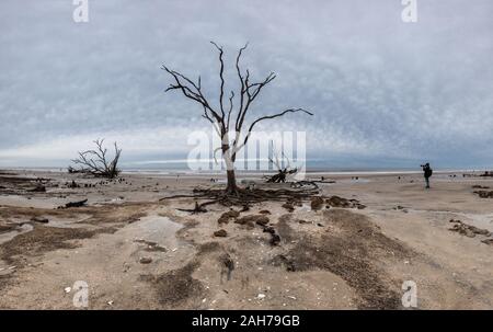 Botany Bay Strand Panorama an bewölkten Tag, Edisto Island, South Carolina, USA Stockfoto