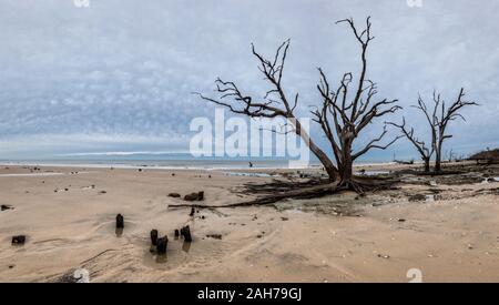 Botany Bay Strand Panorama an bewölkten Tag, Edisto Island, South Carolina, USA Stockfoto