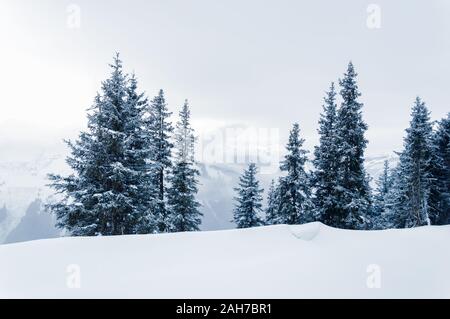 Weiße Winterlandschaft mit Schnee, Tannen, nebligen Berge und Wolken am Himmel mit Wolken in Schmittenhohe in der Nähe von Zell Am See Kaprun Ski Resort in Einem Stockfoto