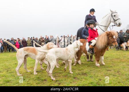 Hagley, Worcestershire, Großbritannien. 26. Dezember 2019. 6-jährige Henley Mühlen auf seinem Pony Rettich als Albrighton und Wald Jagd Raffungen an Hagley Halle am zweiten Weihnachtstag für seine traditionellen jährlichen Treffen. Peter Lopeman/Alamy leben Nachrichten Stockfoto