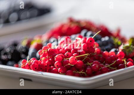 Nahaufnahme eines Tabletts mit einer gemischten Auswahl von Beeren vor Bokeh Hintergrund Stockfoto