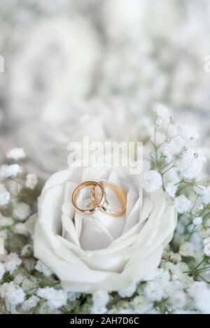 Nahaufnahme von zwei goldenen Eheringen, die auf den Blütenblättern einer weißen Rose auf einem weißen Bokeh-Hintergrund liegen Stockfoto