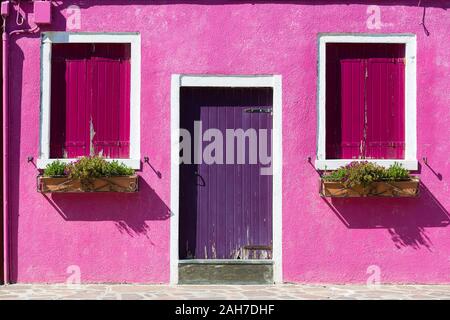 Symmetrische Nahaufnahme einer ikonischen rosa Gipsfassade in Burano, mit einer violetten Tür und zwei Fenstern mit Blumentöpfen Stockfoto