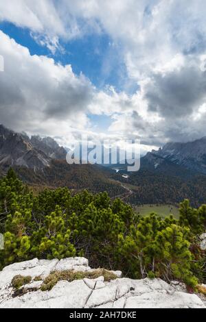 Ikonische italienische herbstliche Berglandschaft, mit einem felsigen Felsvorsprung und Pinienwald im Vordergrund, und einem entfernten Berge im Hintergrund Stockfoto