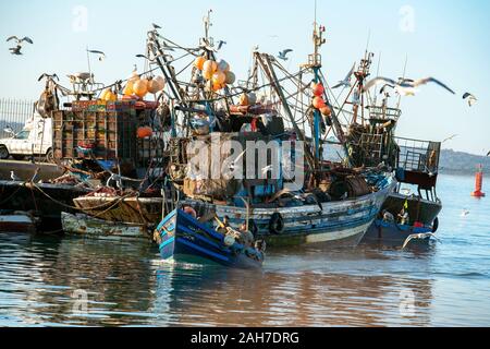 UN PETIT BATEAU DE PECHE RENTRE DANS LE PORT D'Essaouira Stockfoto