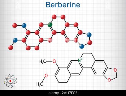 Berberin C 20 H 18 NO 4, pflanzliche Alkaloide Molekül. Strukturelle chemische Formel und Molekül-Modell. Blatt Papier in einem Käfig. Vector Illustration Stock Vektor