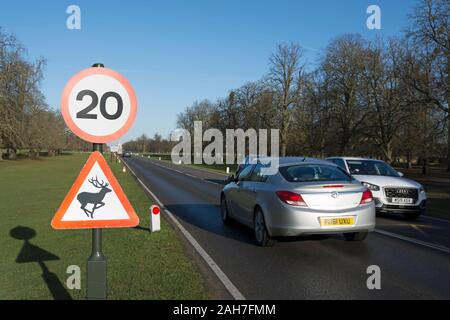 20 mph Höchstgeschwindigkeit und Rotwild Warnschilder entlang vorbei an den Autoverkehr in Bushy Park, im Südwesten von London, England Stockfoto