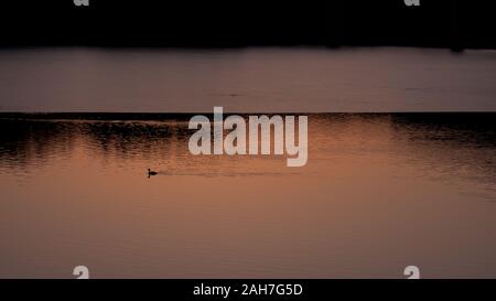 Überlegungen zu einem kleinen See, der im Winter, Deutschland. Stockfoto