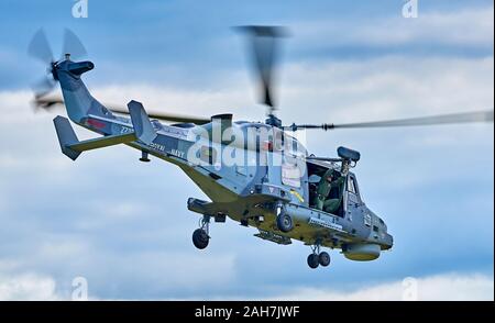 AgustaWestland AW159 Wildcat HMA 2 schwebt als winchman trennt die Schnell-Seil Stockfoto