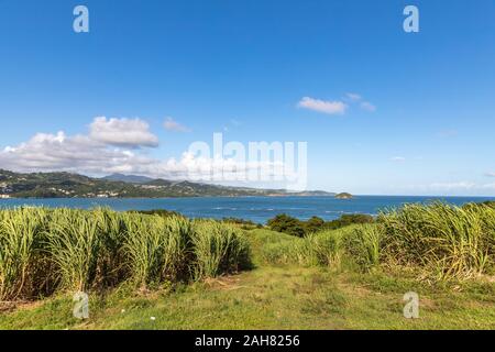 Blick auf Trinite Dorf über die Bucht in Martinique, Frankreich Stockfoto