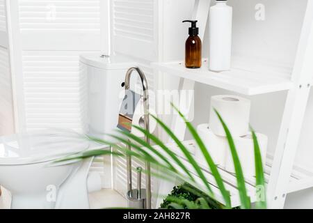 Innenraum der Weißen modernes Bad mit WC Schüssel in der Nähe von Folding Screen-, Rack- und Palm Tree Stockfoto