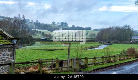 Yorkshire Dales in der Nähe von Bolton Brücke, Wharfedale, North Yorkshire, England, Vereinigtes Königreich Stockfoto
