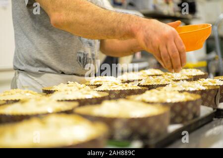 Pastöse Koch starke Erwachsene Mann Koch Vorbereitung und Dekoration Panettone zum Backen, ein süßes weihnachtsbrot typisch aus Mailand, Italien Stockfoto