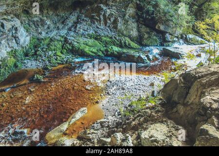 Oparara River fließt durch Oparara Basin Arch, Südinsel, Neuseeland Stockfoto
