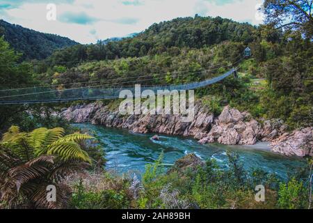 Bei Buller Gorge Swingbridge oben Buller River, Südinsel, Neuseeland Stockfoto