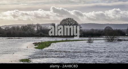 Burst Ufer des Flusses Adur in West Sussex Stockfoto