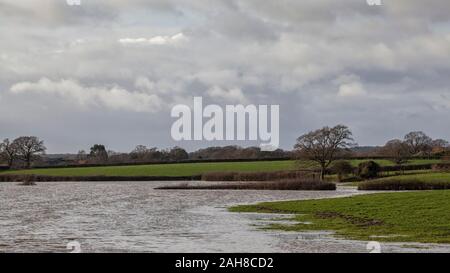 Burst Ufer des Flusses Adur in West Sussex Stockfoto