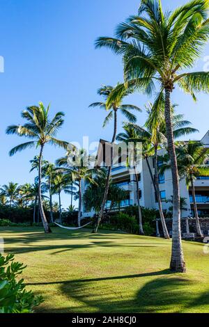 Napili & Kapalua, Maui, Montage Kapalua Bay, Hängematte Stockfoto