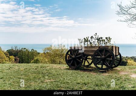 Dekorative alte Karre mit Blumen. Warenkorb mit Blumen und Blick auf das Meer. Stockfoto