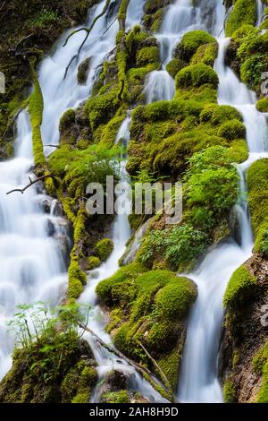 Nahaufnahme eines Bergwasserfalls, der zwischen grünen moosbedeckten Felsen fließt Stockfoto